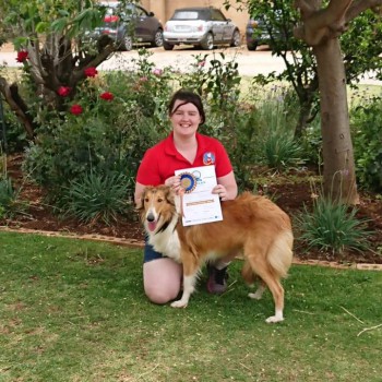 47497797_2245789659042220_4874274911541002240_o