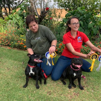 57277871_2327458804208638_4936526962098176000_o