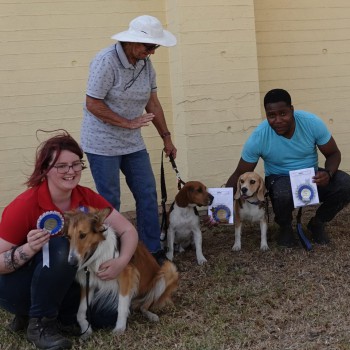 69310129_2424456044508913_8770571673700139008_o