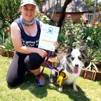 FB_IMG_1603739534421