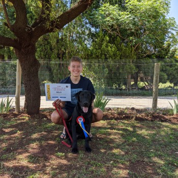 PXL_20201114_083316423